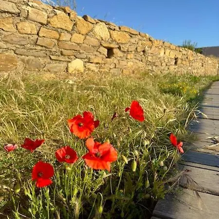 Διαμέρισμα T2 Ensoleille Le Lavandou