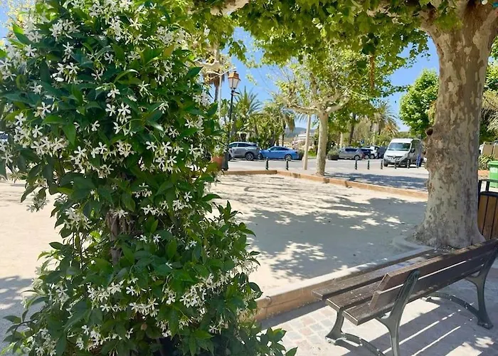 T2 Ensoleille * Le Lavandou