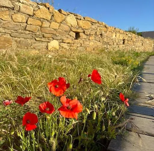 شقة T2 Ensoleille لو لا فاندو