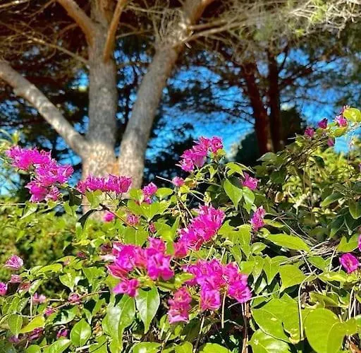 شقة T2 Ensoleille